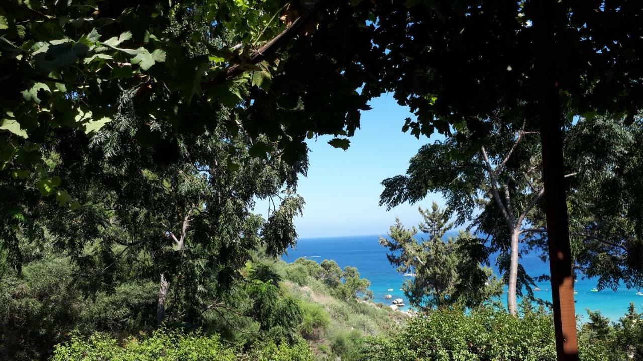 Marias Villa Протарас Экстерьер фото